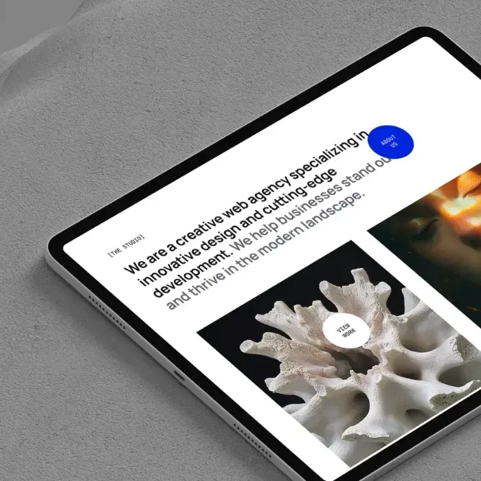 Project Preview Image